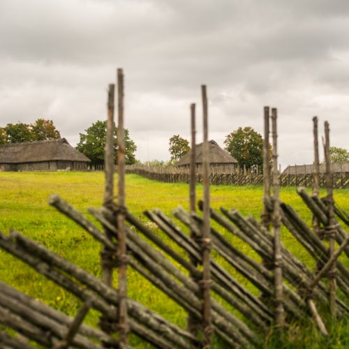 Järva County Culture Grove